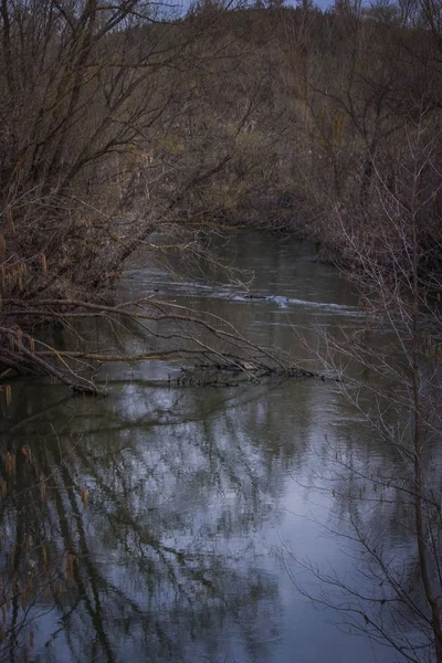 Dans Fédération Russie Rivière Khoper Printemps Russie — Photo