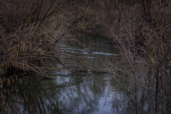 Der Russischen Föderation Dem Khoper Fluss Frühling Russland — Stockfoto