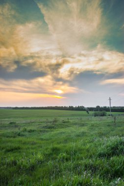 Rusya Federasyonu kırsal bölgelerinde yaz manzarası