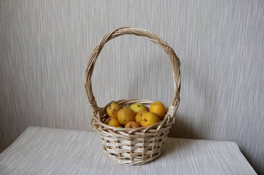 Duvarla eşleşmesi için bej çizgili duvarın yanındaki sepette olgunlaşmış Japon aygırı. Meyveler ağır metalleri ve radyoaktif elementleri vücuttan emiyor ve çıkarıyor. Güçlü alerji. Tohumlar zehirli..