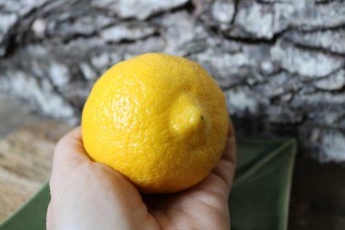 Bir huş ağacının yanındaki ahşap bir masada yeşil bir tabağın üzerinde duran büyük sarı bir limon. Kapat.