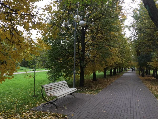 Witte Bank Onder Een Grijze Witte Lantaarn Naast Weg Het — Stockfoto