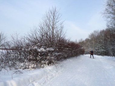 Kış yolu yakınlarındaki karla kaplı çalılığın manzarası. Kayakçının mavi gökyüzüne karşı bıraktığı mesafe. Fotoğraf: Moskova 2016 'da cep telefonu ile çekilmiş.. 