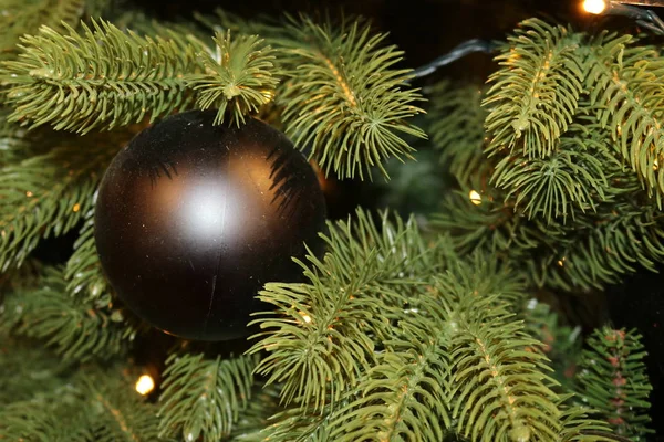 Yeşil Suni Köknar Dallarının Noel Dokusu Farklı Keskinlikte Altın Işıklar — Stok fotoğraf