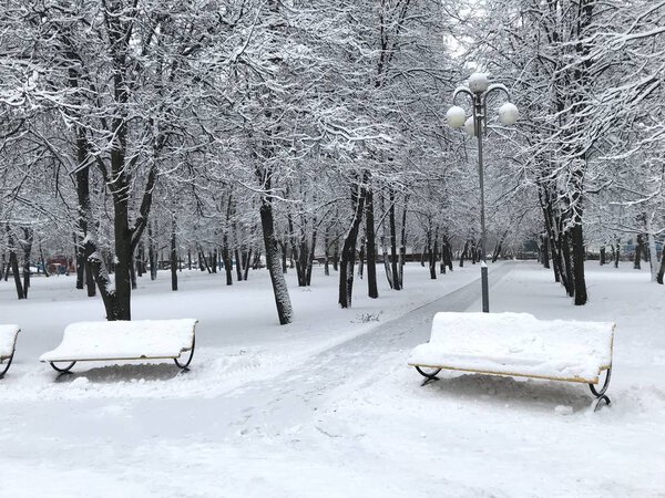 Winter snow-covered city Park with a road between benches and a lantern in the trees. Mobile photo in daylight. Moscow in December 2019.