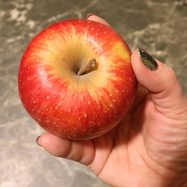 Red Yellow Apple Woman Hand Close — Stock Photo, Image