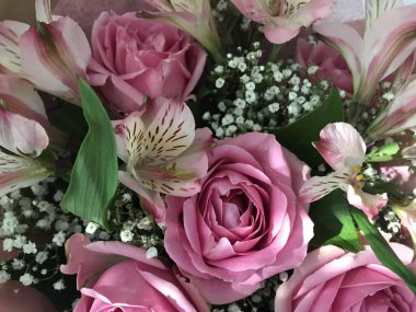 Çiçeklerin pembe beyaz ve yeşil renklerinde çiçek deseni farklı tiplerde ve farklı keskinlikte. Gün ışığında taşınabilir fotoğraflar.