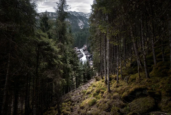 şelale, sisli, Bahar Orman Avusturya