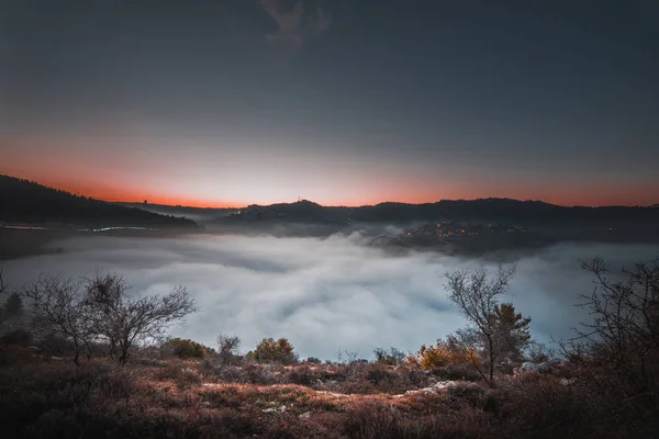 一片云雾林 又称水林 耶路撒冷 以色列 耶路撒冷 Discrit — 图库照片