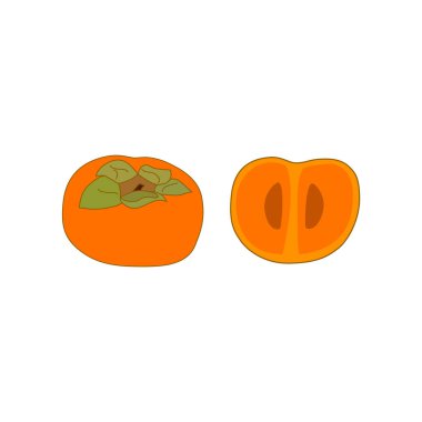 Hurma renkli simge vektörü beyaz arkaplanda izole edildi