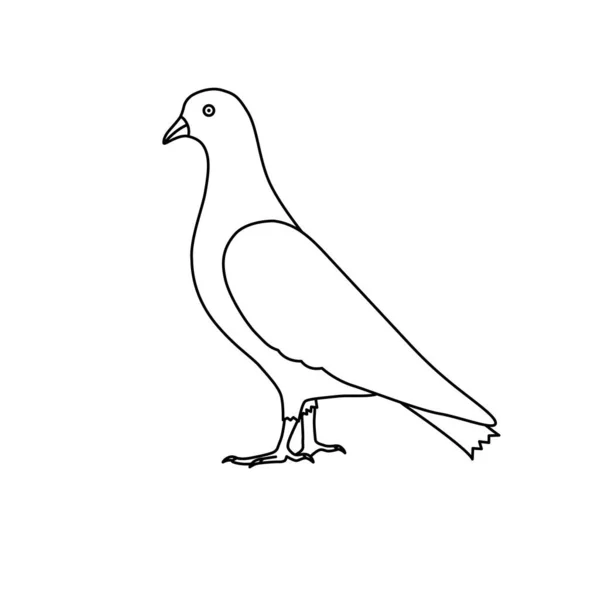 从白色背景分离出来的鸽子鸟图标矢量轮廓 — 图库矢量图片