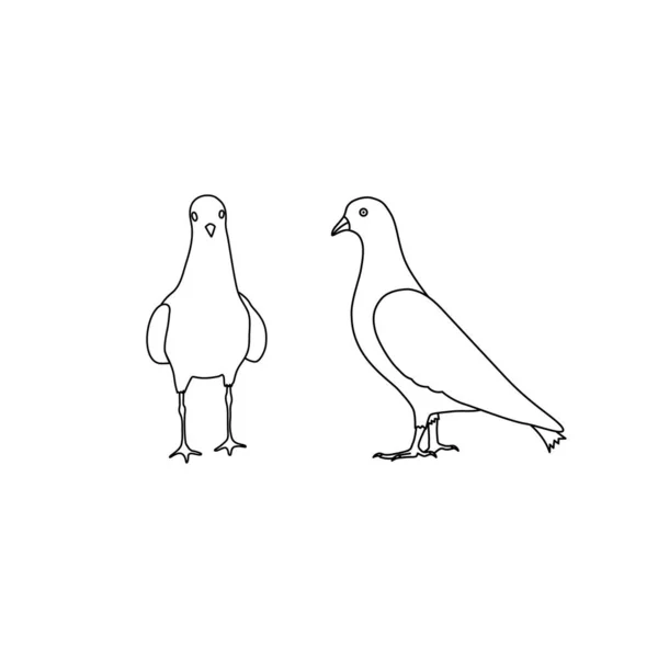 Umriss Tauben Taube Vogel Symbol Vektor Gesetzt Isoliert Auf Weißem — Stockvektor