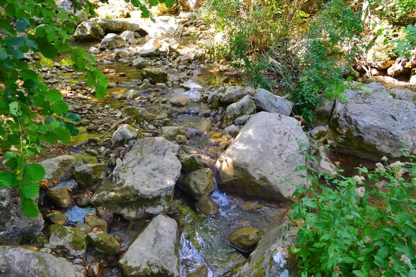 Mountain stream. Water on the rocks. Summer