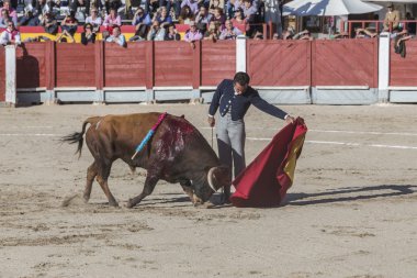 Cape chinchon ana meydanında İspanyolca Boğa güreşçisi El Fundi'nin
