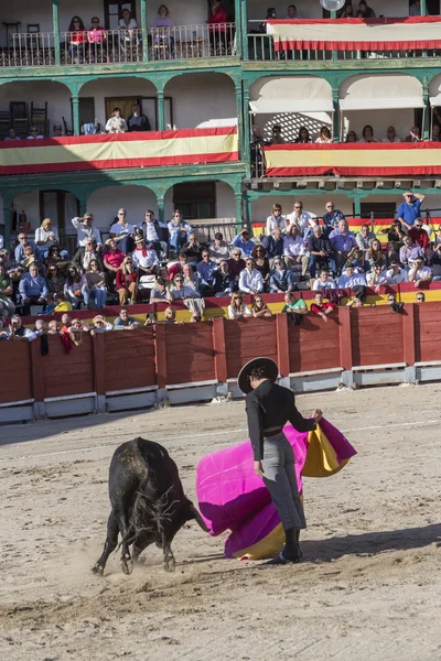 Spanish bullfighter Miguel Abellan with the cape in the main square of chinchon, Spain — 图库照片