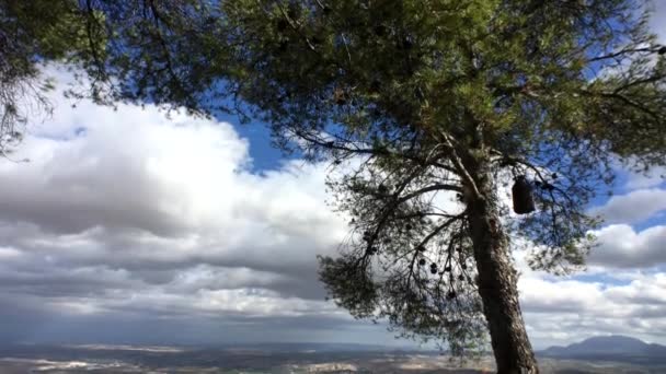 Panoramiczny widok Jaen od zamku Santa Catalina w prowincji Jaen, Andaluzja, Południowa Hiszpania — Wideo stockowe