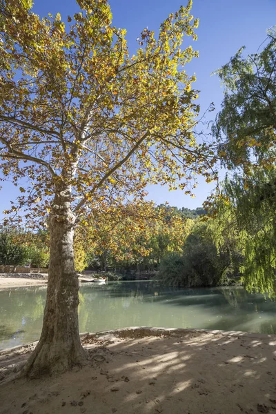 Zona de agrement de pe râul Jucar, vedere frumoasă la munte calcar lângă oraș, în partea de sus a calcarului montan este situat castelul de origine Almohad al secolului al XII-lea, Alcala del Jucar, Spania — Fotografie, imagine de stoc