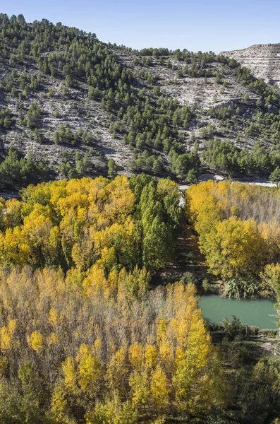 Проезд вдоль реки Jucar в течение осени, принять в Alcala Jucar, провинция Альбасете, Испания — стоковое фото