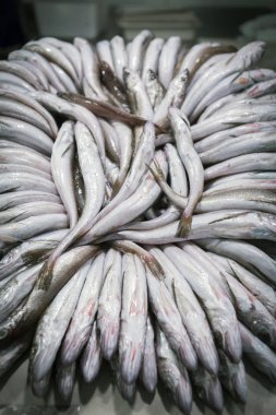 İspanya 'daki Cadiz, Endülüs' teki balık pazarında taze balık yakaladık.