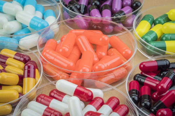 Diverse capsules of different colors of the disks from Petri — Stock Photo, Image