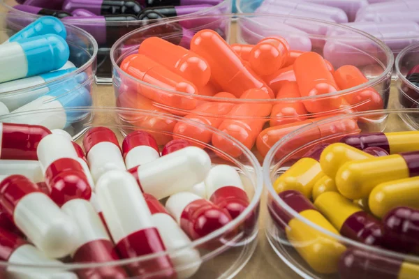 Diverse capsules of different colors of the disks from Petri — Stock Photo, Image