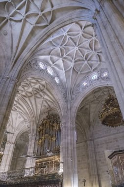 Encarnacion, Almeria piskoposluk piskoposluk merkez ofisi katedral iç. metanet yapısı ile bina, geç Gotik ve Rönesans, Almeria, İspanya arasında bir geçiş mimari sunar