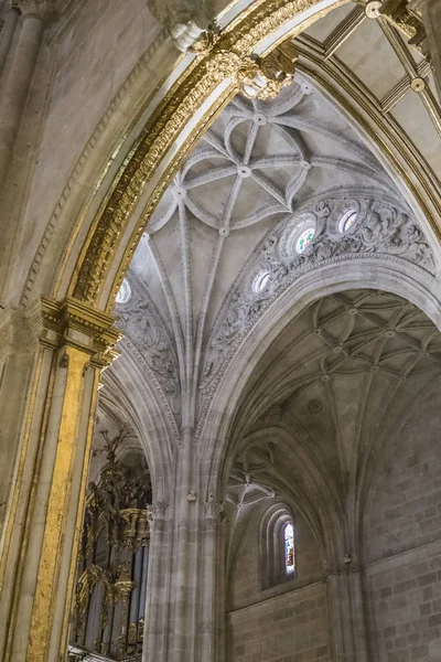 Intérieur de la cathédrale de l'Encarnacion, siège épiscopal du diocèse d'Almeria. bâtiment avec structure de force, présente une architecture de transition entre le gothique tardif et la Renaissance, Almeria, Espagne — Photo