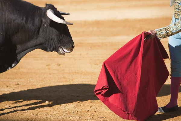 Torero con el Cabo en la corrida de toros, España — Foto de Stock