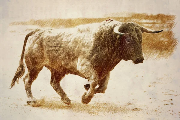 Stierfarbe Zimt galoppiert bei einem Stierkampf, Andalusien, Spanien — Stockfoto
