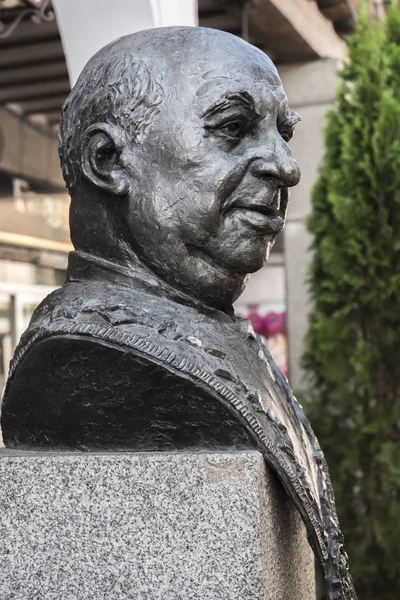 Статуя в честь великого повара Кандидо Лопеса Санса, известного персонажа и популярного города Сеговия, Испания — стоковое фото