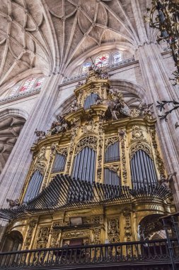  The Organs and gothic vault of Cathedral Nuestra Senora de la Asuncion y de San Frutos de Segovia, take in Segovia, Spain clipart
