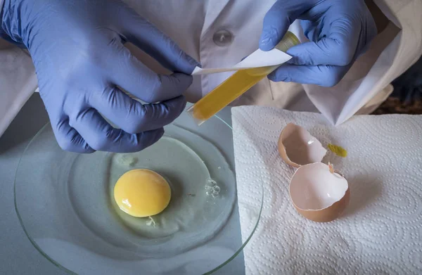 Ученый в лаборатории расследует кризис, вызванный мошенничеством с зараженными яйцами фипронилом в Испании — стоковое фото