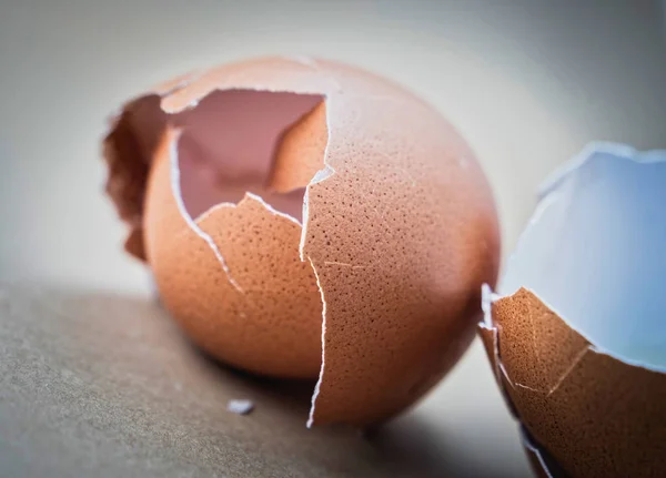 Muszle rozrzucone złamane jaj na białym tle w tle — Zdjęcie stockowe