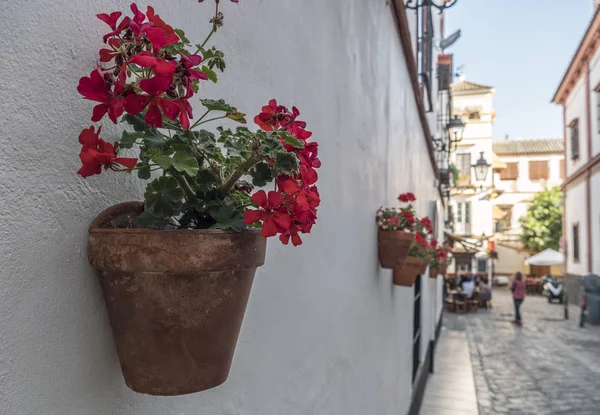 Blumentöpfe Mit Roten Blumen Einer Typischen Straße Von Sevilla Andalusien — Stockfoto