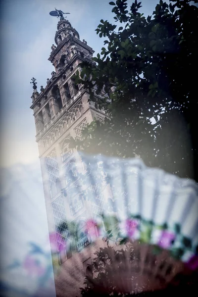 View Giralda Reflected Showcase Seville Andalusia Spain — Stock Photo, Image