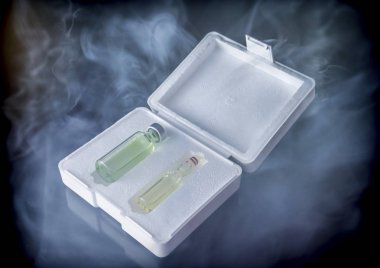 İzotermal kutusuyla iki aşı dondurucu kavramsal görüntü hulâsa