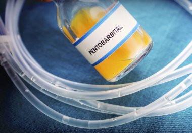  Şişe ötenazi ve bir hastane öldürücü Inyecion için kullanılan Fentobarbital ile