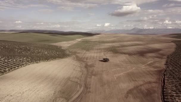 Zobacz Powietrza Sadzenia Pola Tysiąclecia Dąb Skalny Pobliżu Mengibar Hiszpania — Wideo stockowe