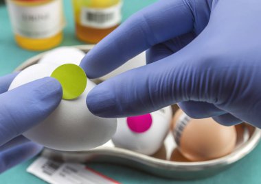 Laboratuvar, klinik, kavramsal görüntü incelemek için kötü durumda etiketi yumurta ile bilimsel marka