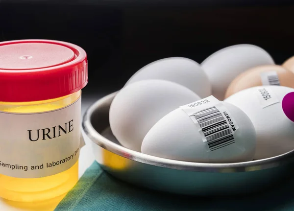 Ученый в лаборатории расследует кризис, вызванный мошенничеством с зараженными яйцами фипронилом — стоковое фото