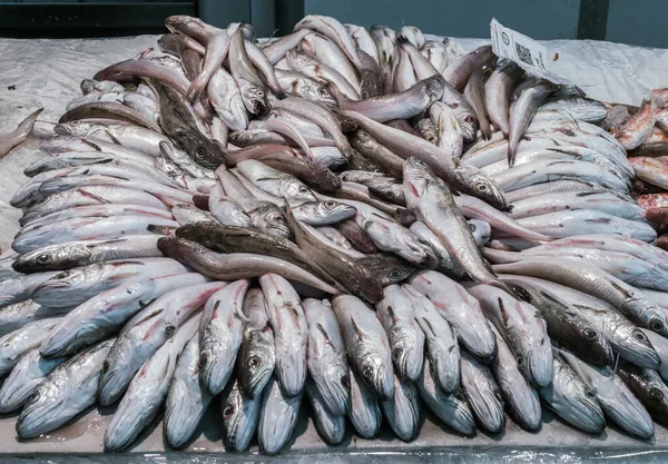 Ψάρια Που Αλιεύθηκαν Πρόσφατα Στην Αγορά Ψαριών Στο Cadiz Andalucia — Φωτογραφία Αρχείου
