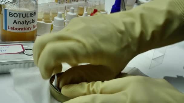 Scientifique Laboratoire Expérimenté Analysant Échantillon Une Boîte Alimentaire Conserve Infection — Video