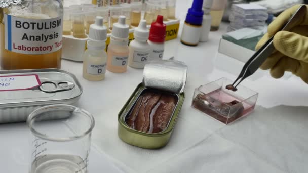 Cientista Experiente Laboratório Analisando Uma Amostra Uma Lata Alimentos Enlatados — Vídeo de Stock