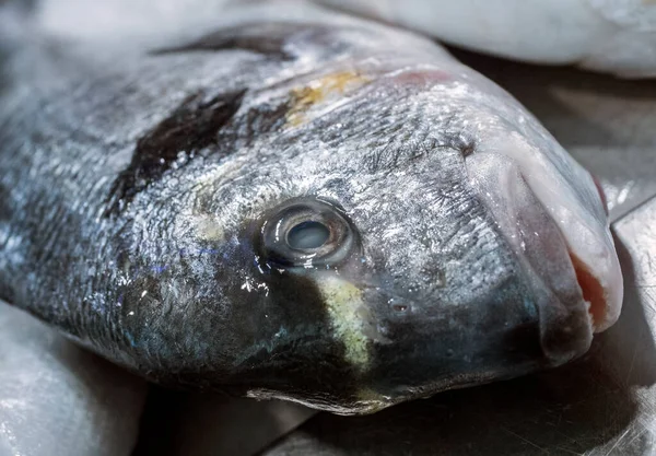Spanya Daki Cadiz Endülüs Teki Balık Pazarında Taze Balık Yakaladık — Stok fotoğraf