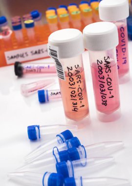 SARS-COV-1 örneklerinin bulunduğu şişeler, Sars-CoV-2 Covid-19 üzerinde yapılan bir laboratuvar epiedomolojik çalışmada soğuk olarak hazırlanmıştır.