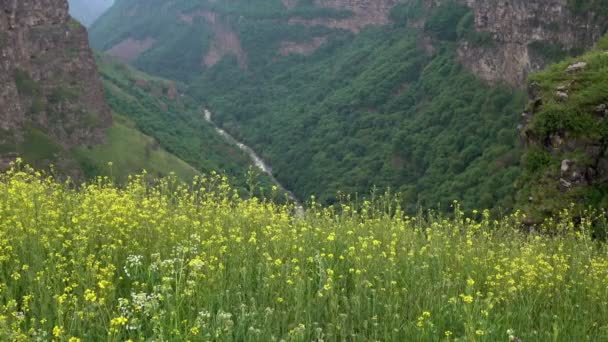 Доллі застрелив глибокий каньйон — стокове відео