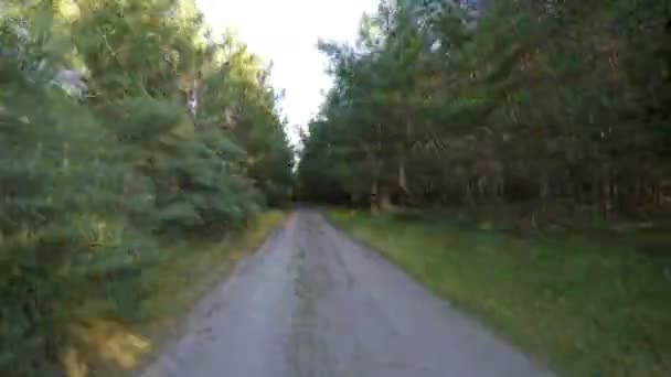 Conducción de alta velocidad en bosques — Vídeo de stock