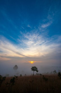 Gündoğumu sırasında dağ Vadisi, Mulk Salaeng Luang Milli Parkı, Phitsanulok, Tayland