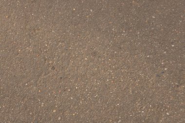 Öğleden sonra asfaltta sonbahar.