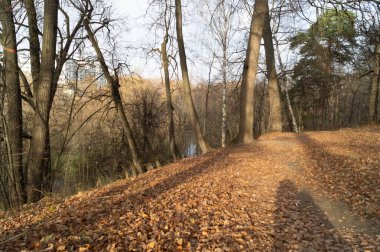 Sonbaharda tepe Altın Orman günbatımına yakın